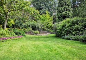 Optimiser l'expérience du jardin à Montjustin